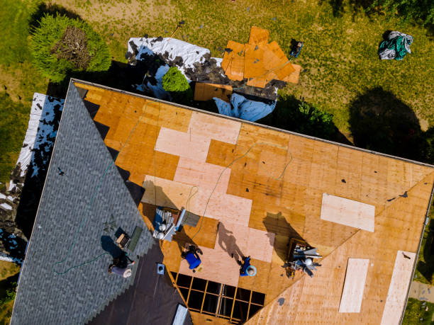 Best Storm Damage Roof Repair  in Bodega Bay, CA