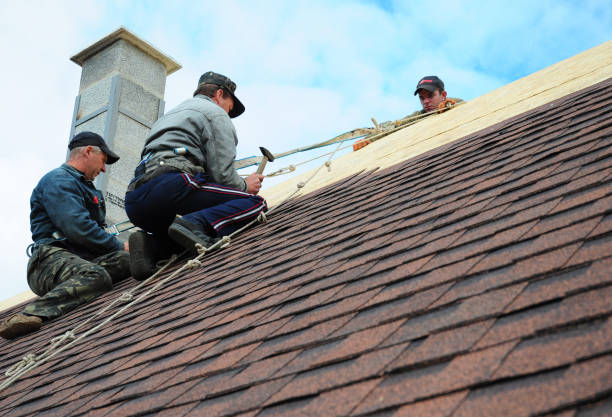 Roof Gutter Cleaning in Bodega Bay, CA